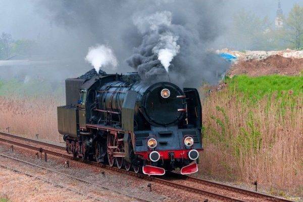 متحف السكك الحديدية الضيق & RETRO Steam Train Ride