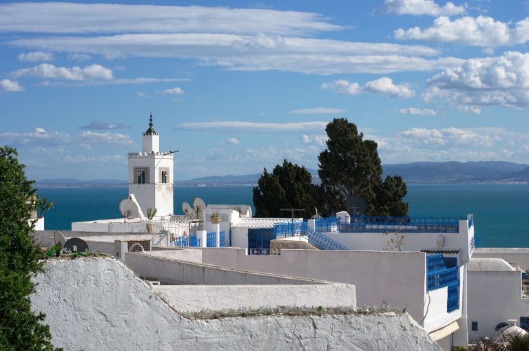 السياحة في سيدي بوسعيد في تونس