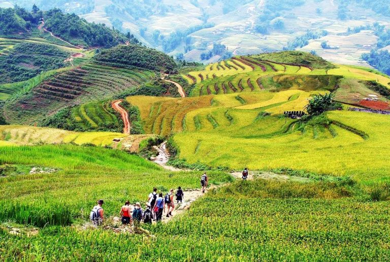 السياحة في سابا فيتنام  دليلك للقيام برحلة  رائعة فى ” واحة السلام ” سابا فيتنام